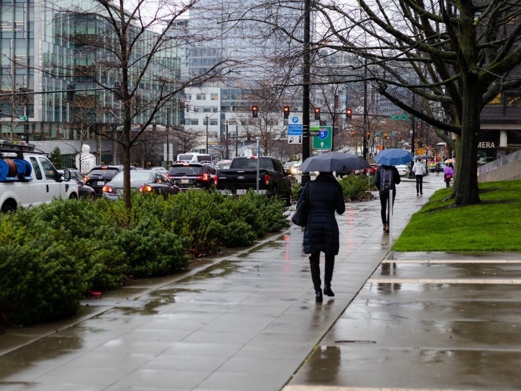 Rain, Wind, Cold, And More Rain: Washington Weather Forecast