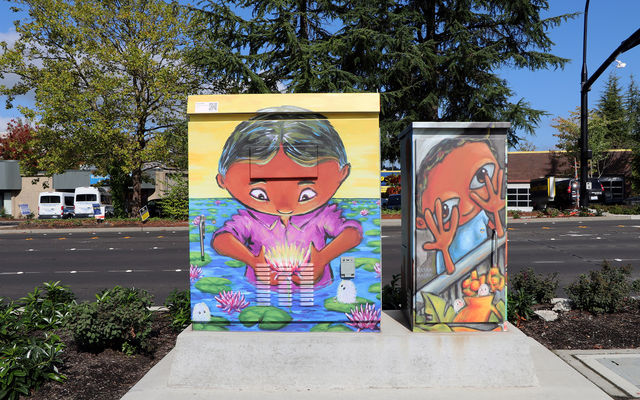 More artists wanted for utility box wraps