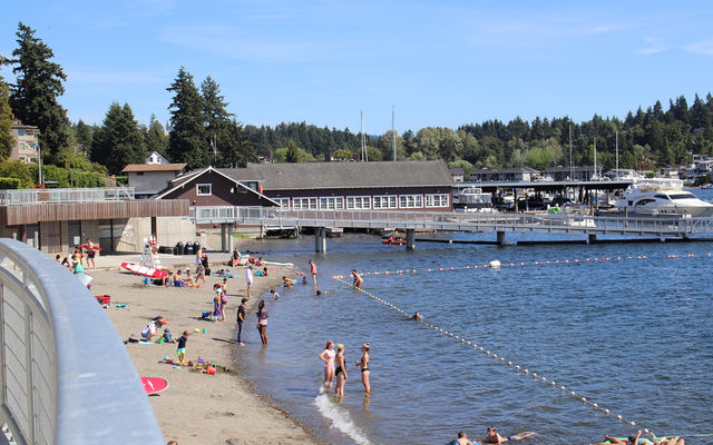 Swimming area reopens at Meydenbauer Bay Park