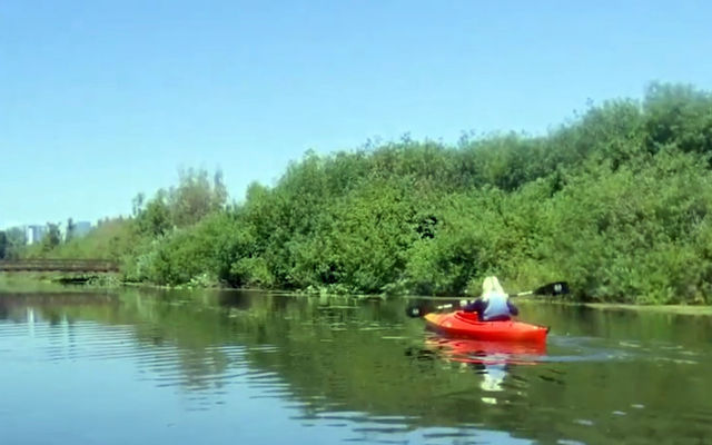 Kayak tour of Mercer Slough with Bellevue TV