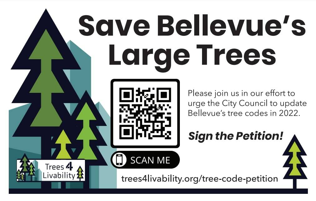 7th-grader advocates for greater tree code protections in Bellevue