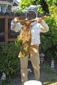 Dave Schiefelbein, Beekeeper (March 22nd) – An Introduction to Honey Bees