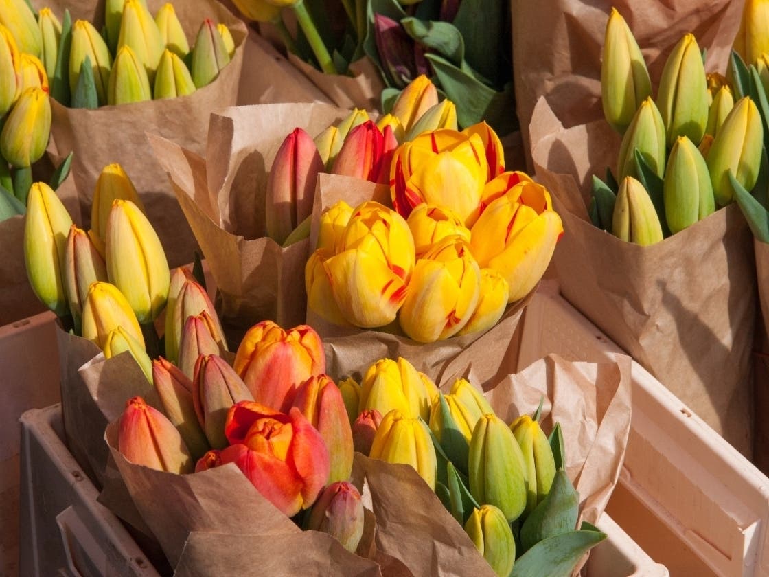 Last Minute Mother’s Day Flowers: Where To Go In King County